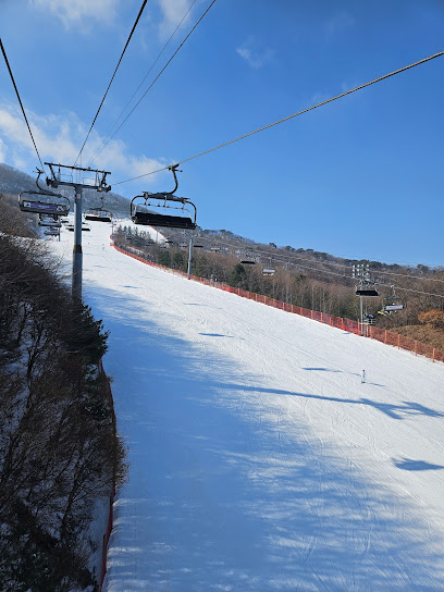 Ski Gonjiam, Seoul
