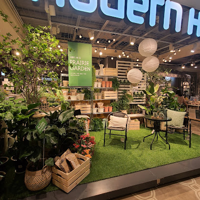 Newcore Outlet Gangnam, Seoul