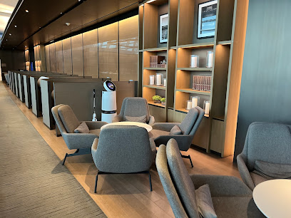 Asiana Airlines Business Lounge West, Seoul