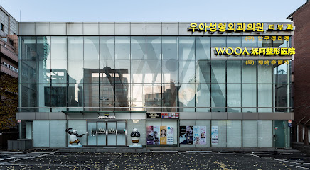 WOOA Plastic Surgery & Dermatology, Seoul