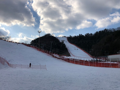 Snow Garden, Seoul