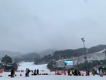 Oak Valley Ski Resort, Seoul