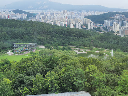 Dream Forest, Seoul