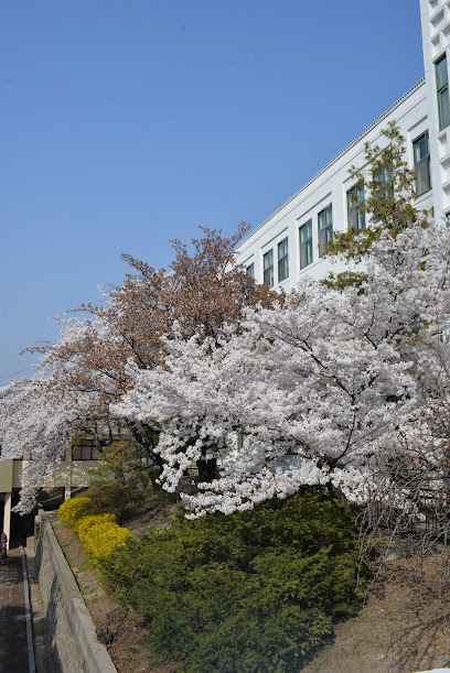 Jeongdok Public Library, Seoul
