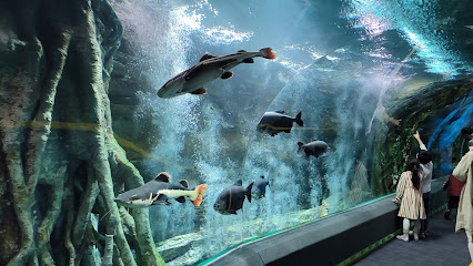 LOTTE WORLD AQUARIUM, Seoul