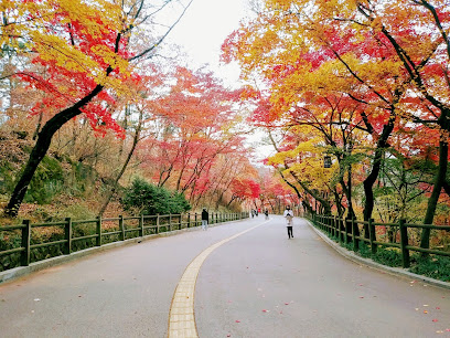 Namsan Dulle-gil Trail, Seoul