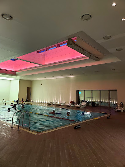 Lotte Hotel indoor pool, Seoul