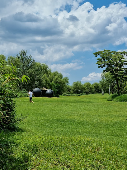 Noeul Park, Seoul