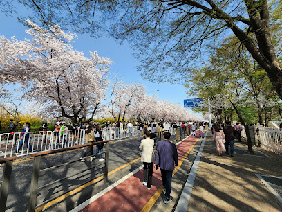 Yeouiseo-ro (Yunjung-ro), Seoul