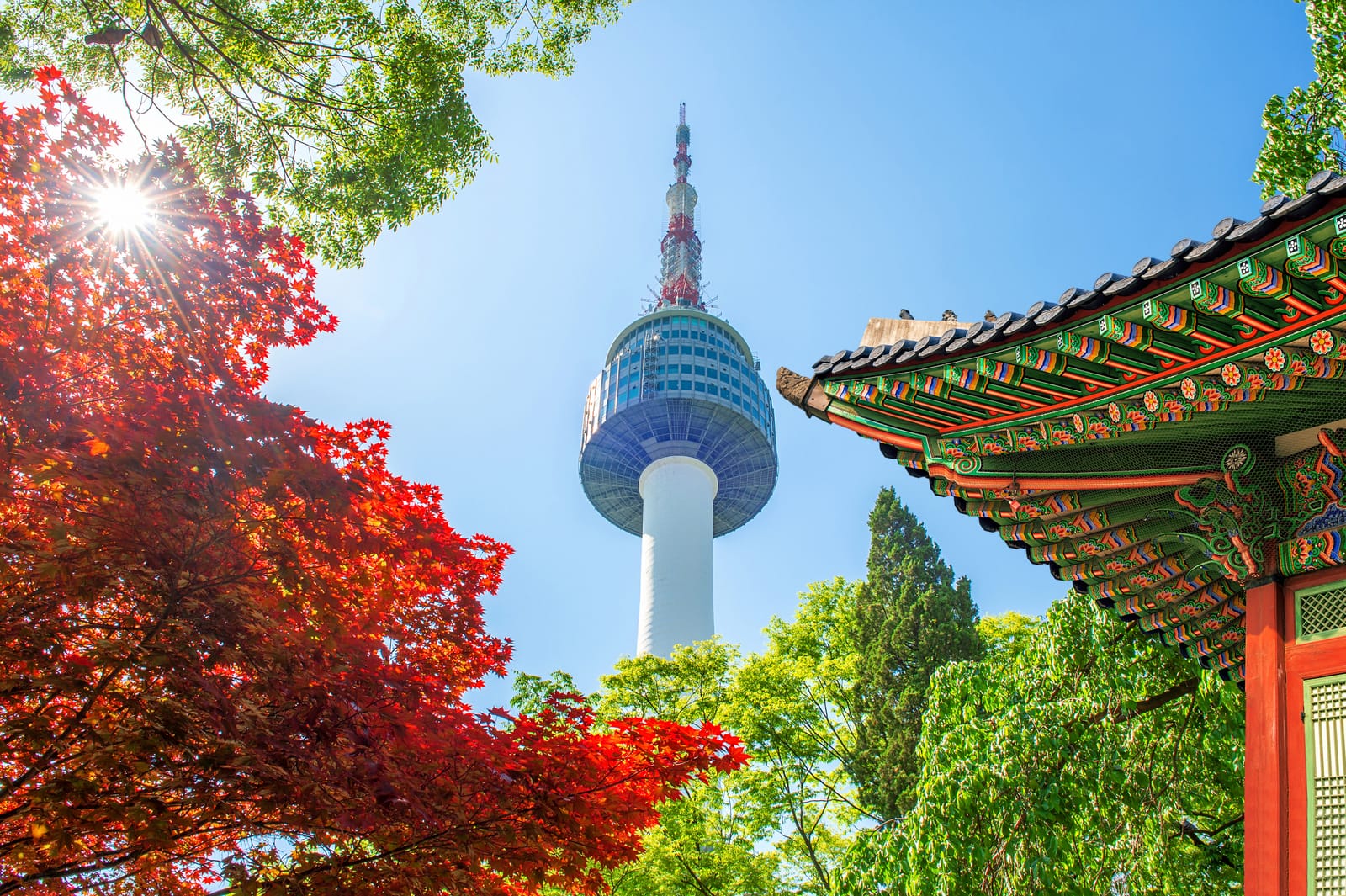 N Seoul Tower beyond the painted eaves of a palace