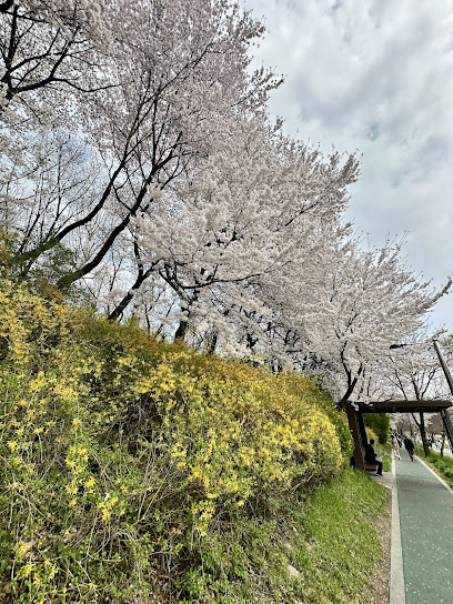Yangjaecheon Stream, Seoul