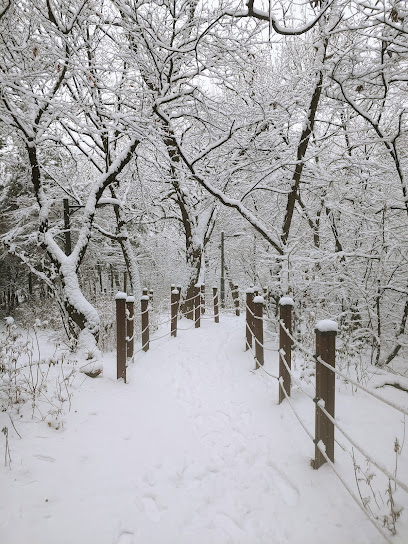 University of Seoul