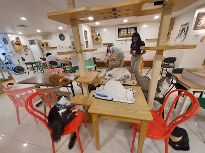 Cats' Playground, Seoul