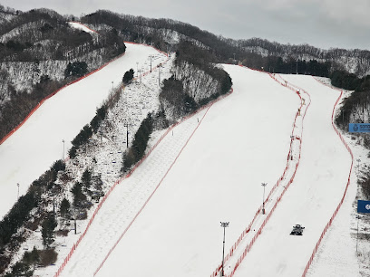 Vivaldi Park Ski World, Seoul
