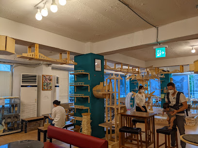 Abandoned Cat Cafe - 2nd floor, Seoul