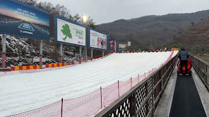 Sledding Slope, Seoul