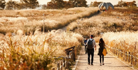 Haneul Park, Seoul