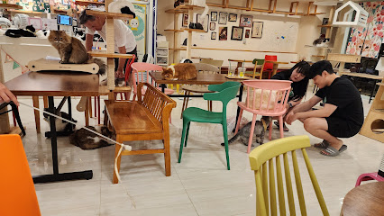 Cat cafe Goyangi Noriteo, Seoul