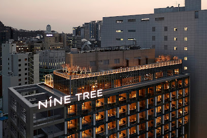 Nine Tree Premier Hotel, Myeongdong II