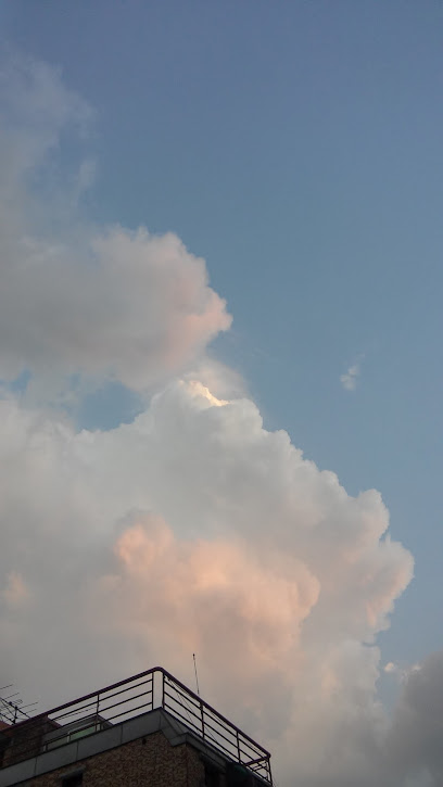 블루워터수족관