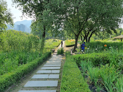 Seoul Iris Garden