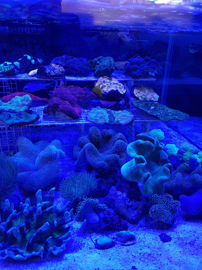 테라리움수족관